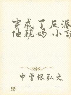 穿成了反派大佬他亲妈 小说