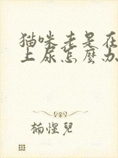 猫咪老是在沙发上尿怎么办