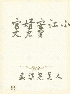 官婿安江小说全文免费