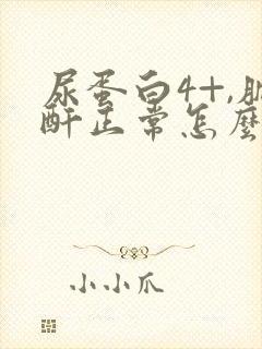 尿蛋白4+,肌酐正常怎么回事