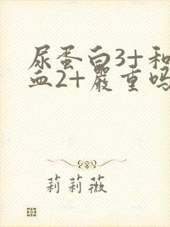 尿蛋白3+和潜血2+严重吗