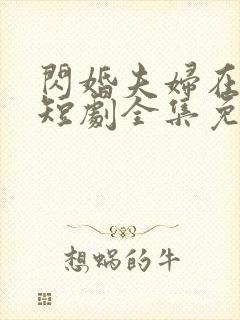 闪婚夫妇在80短剧全集免费观看