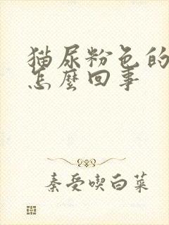 猫尿粉色的尿是怎么回事