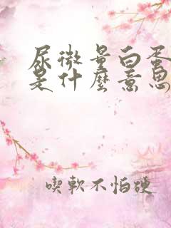 尿微量白蛋白+是什么意思