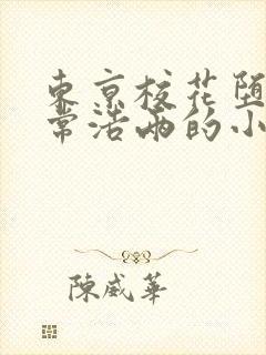 东京校花堕落日常浩两的小说