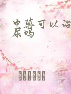 中药可以治疗漏尿吗