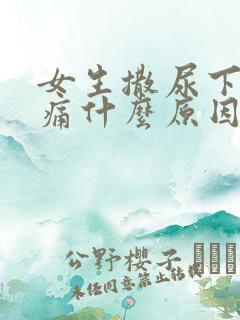 女生撒尿下面疼痛什么原因