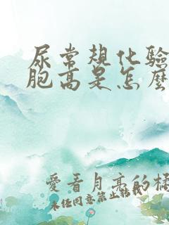 尿常规化验白细胞高是怎么回事