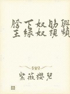 胯下奴助兴夫妻主绿奴视频