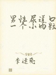 男性尿道口长了一个小肉粒