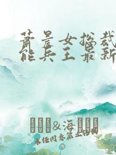 萧晨女总裁的全能兵王最新