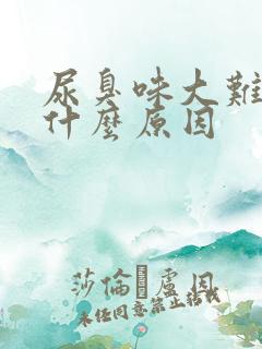 尿臭味大难闻是什么原因