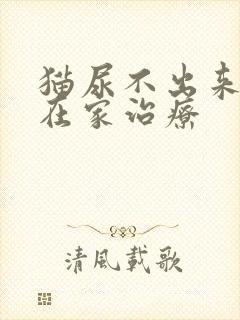 猫尿不出来怎么在家治疗