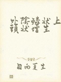 外阴鳞状上皮乳头状增生