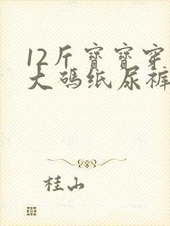 12斤宝宝穿多大码纸尿裤