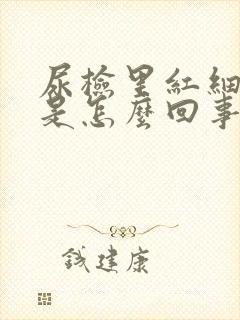 尿检里红细胞高是怎么回事