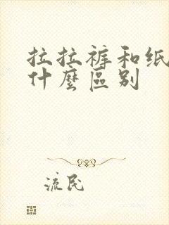 拉拉裤和纸尿裤什么区别