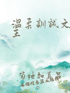 温柔训诫文双男主