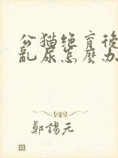 公猫绝育后还是乱尿怎么办