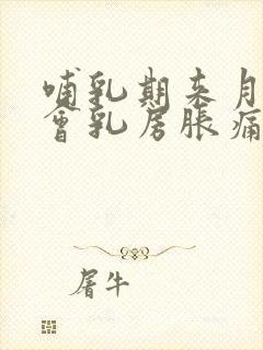 哺乳期来月经前会乳房胀痛吗