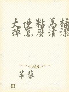 大便粘马桶冲不掉怎么清洁