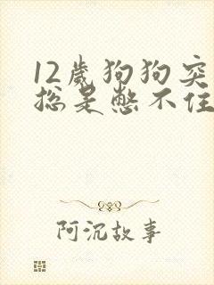 12岁狗狗突然总是憋不住尿
