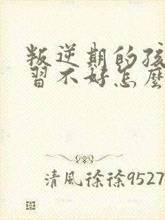 叛逆期的孩子学习不好怎么办