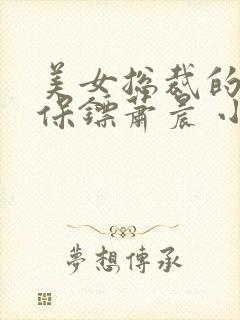 美女总裁的贴身保镖萧晨 小说