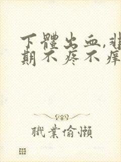 下体出血,非经期不疼不痒