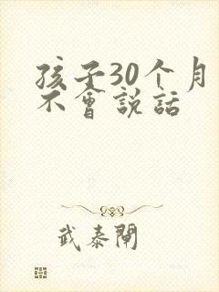 孩子30个月了不会说话