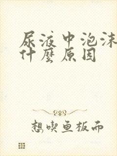 尿液中泡沫多是什么原因