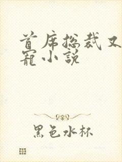 首席总裁又甜又宠小说