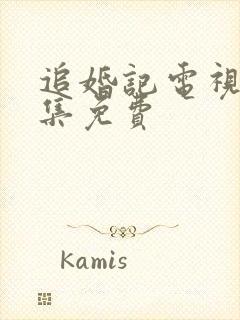 追婚记电视剧全集免费