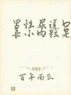 男性尿道口周围长小肉粒是怎么回事