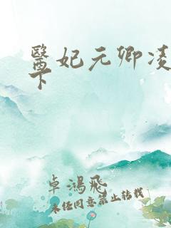 医妃元卿凌倾天下