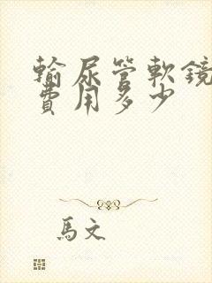 输尿管软镜碎石费用多少