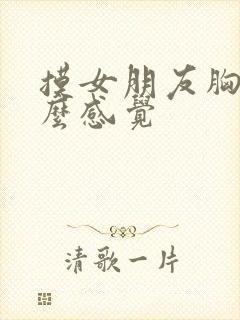 摸女朋友胸是什么感觉