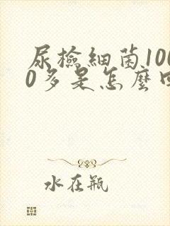 尿检细菌1000多是怎么回事