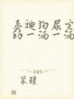 泰迪狗尿完尿挤的一滴一滴的血