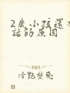 2岁小孩还不说话的原因