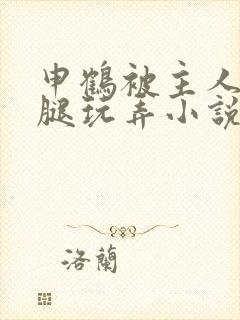 申鹤被主人扒开腿玩弄小说