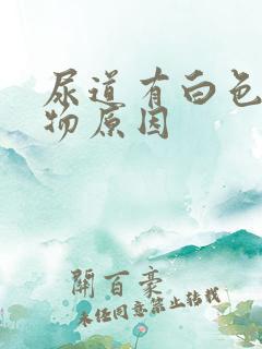 尿道有白色分泌物原因