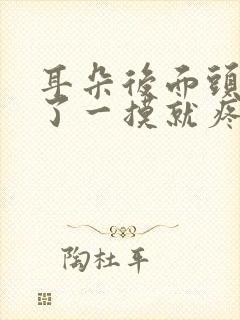 耳朵后面头皮肿了一摸就疼