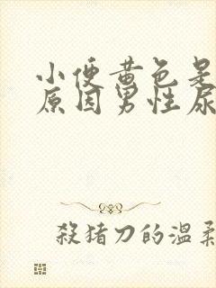 小便黄色是什么原因男性尿常规正常