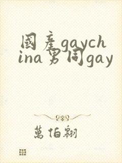 国产gaychina男同gay