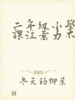 二年级小学生上课注意力不集中