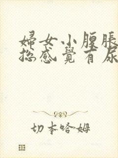 妇女小腹胀痛,总感觉有尿