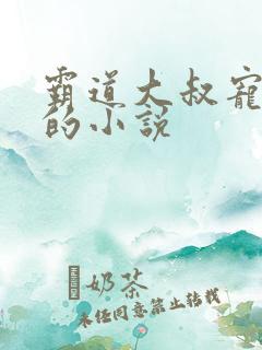 霸道大叔宠甜妻的小说