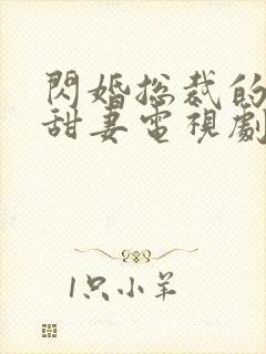 闪婚总裁的契约甜妻电视剧