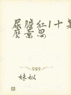 尿胆红1十是什么意思